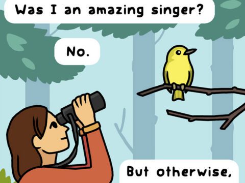 BIrdword comic