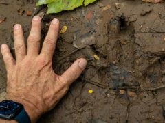 Footprints