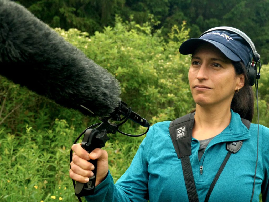 Record Bird Sounds