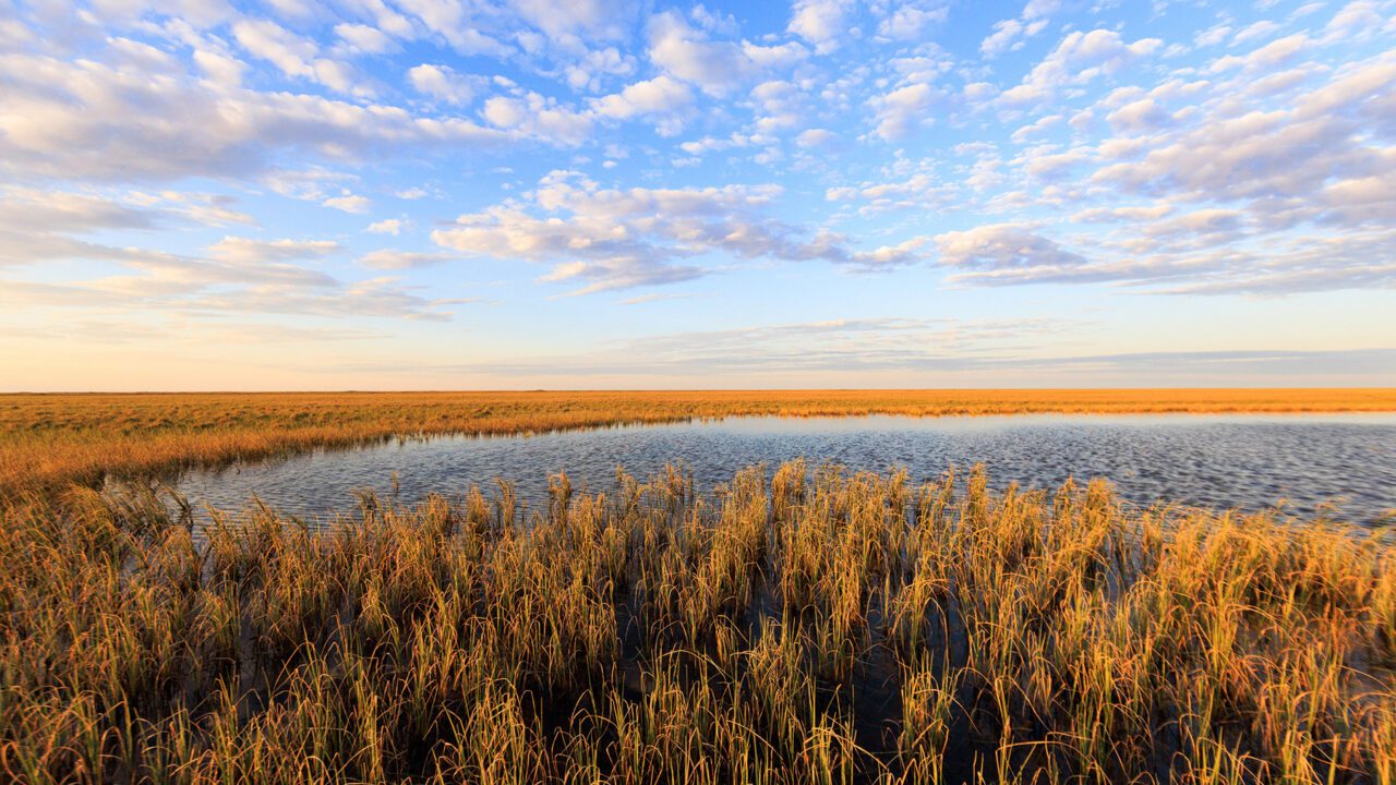 Landscape of the lake.