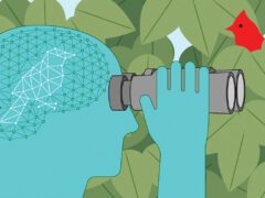 Birding Influences Brain Health