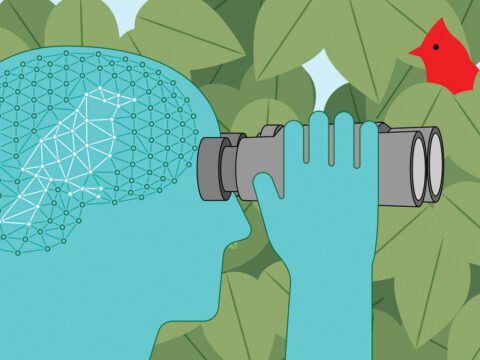 Birding Influences Brain Health