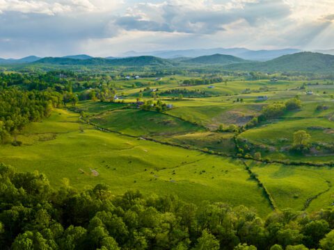 in the foothills of the Blue Ridge Mountains by Hugh Kenny