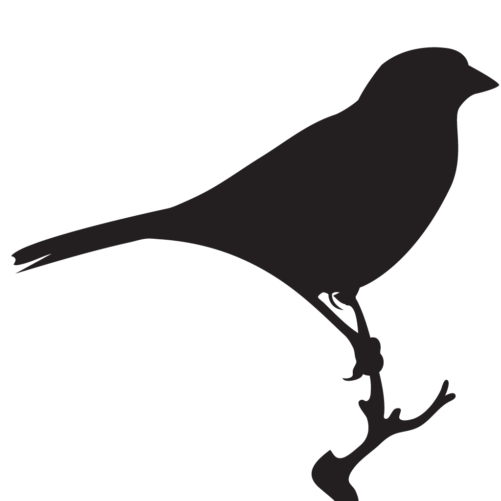 Silhouette Dickcissel